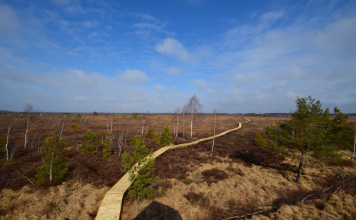 20_Auk+tumalos pa+intinis takas.jpg